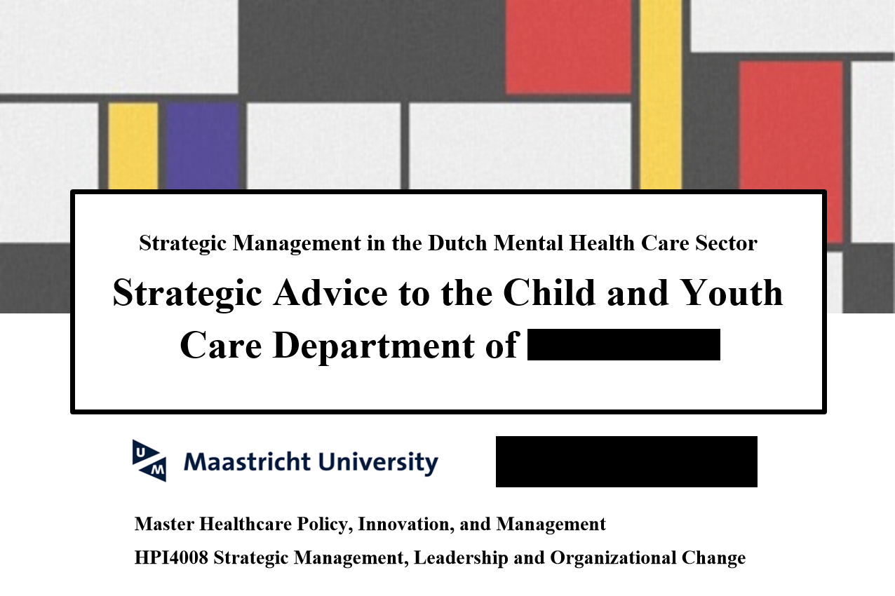 Strategic Advice to a Dutch Health Care Provider